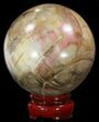 Colorful Petrified Wood Sphere #41949-1